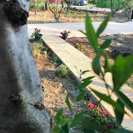 Appartamento Potami Appts